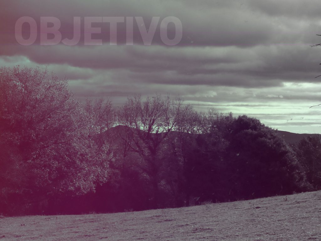 objetivo, vgs, gestión,